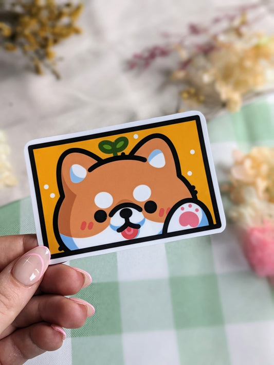 Shiba inu boxy sticker