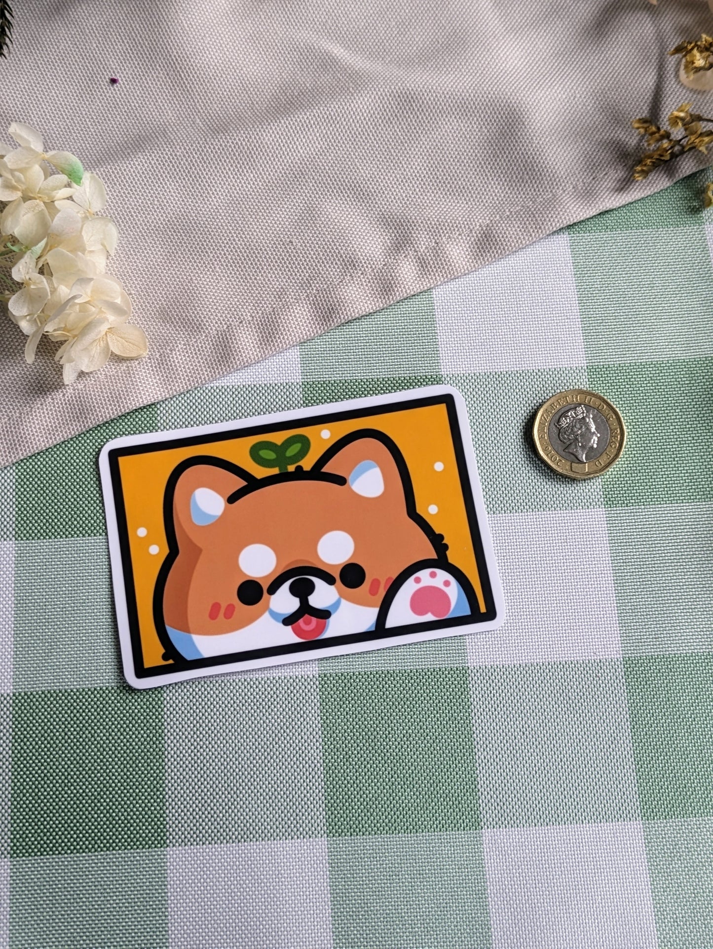 Shiba inu boxy sticker