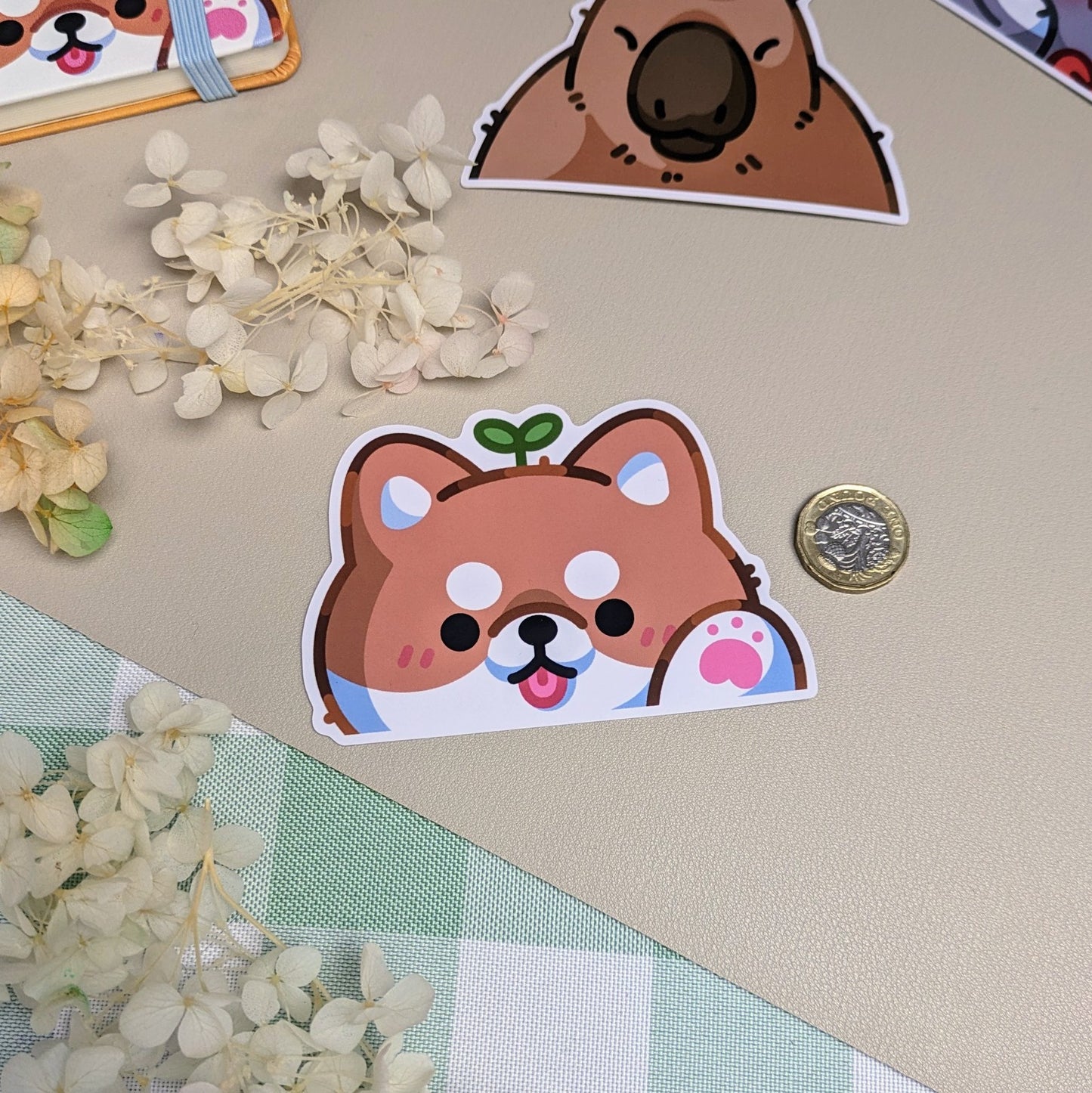 Cutie shiba car peeker sticker