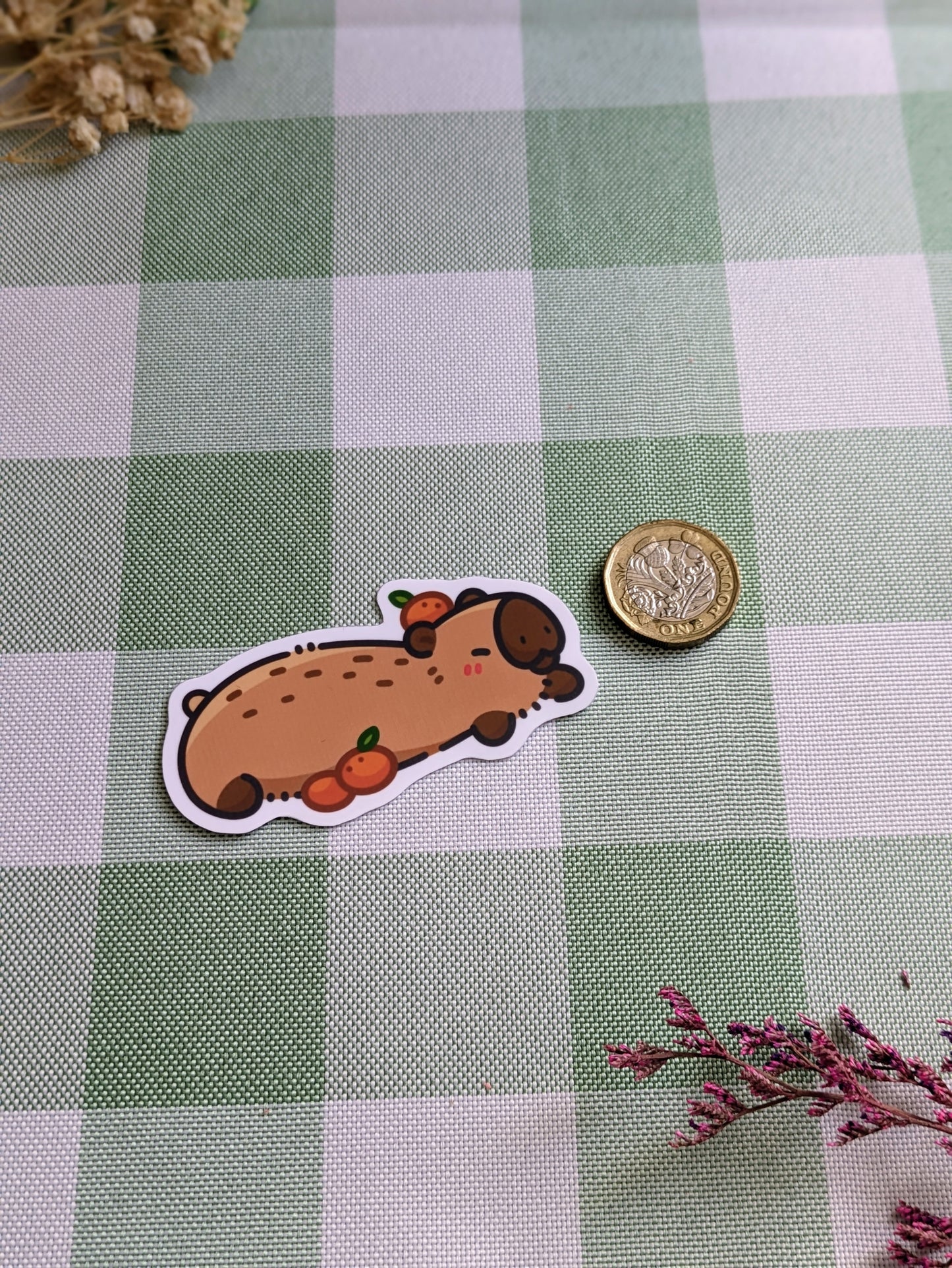 Capybara sticker