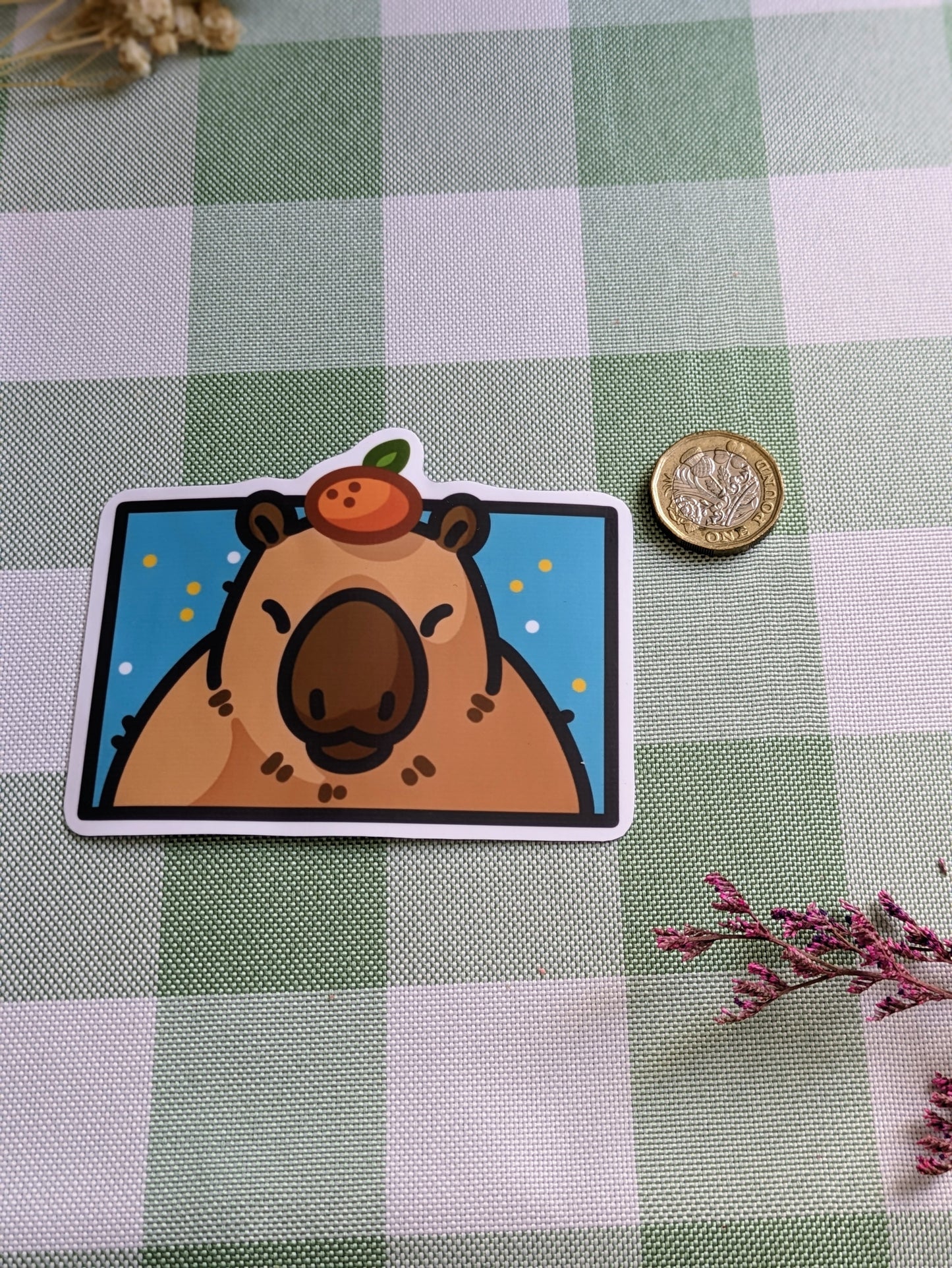 Capybara boxy sticker