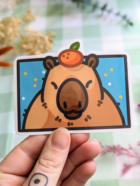 Capybara boxy sticker