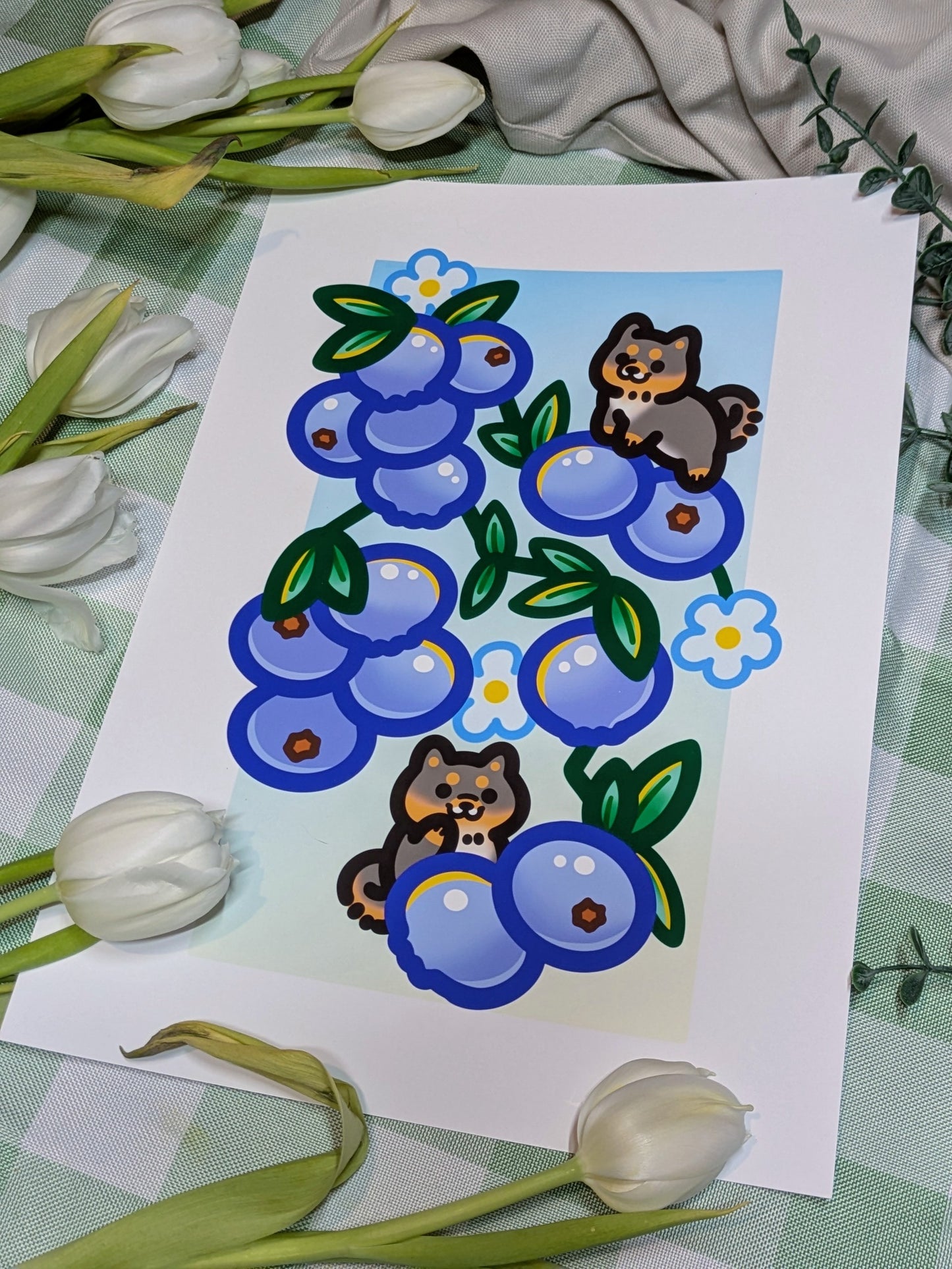 Blueberries Shiba print